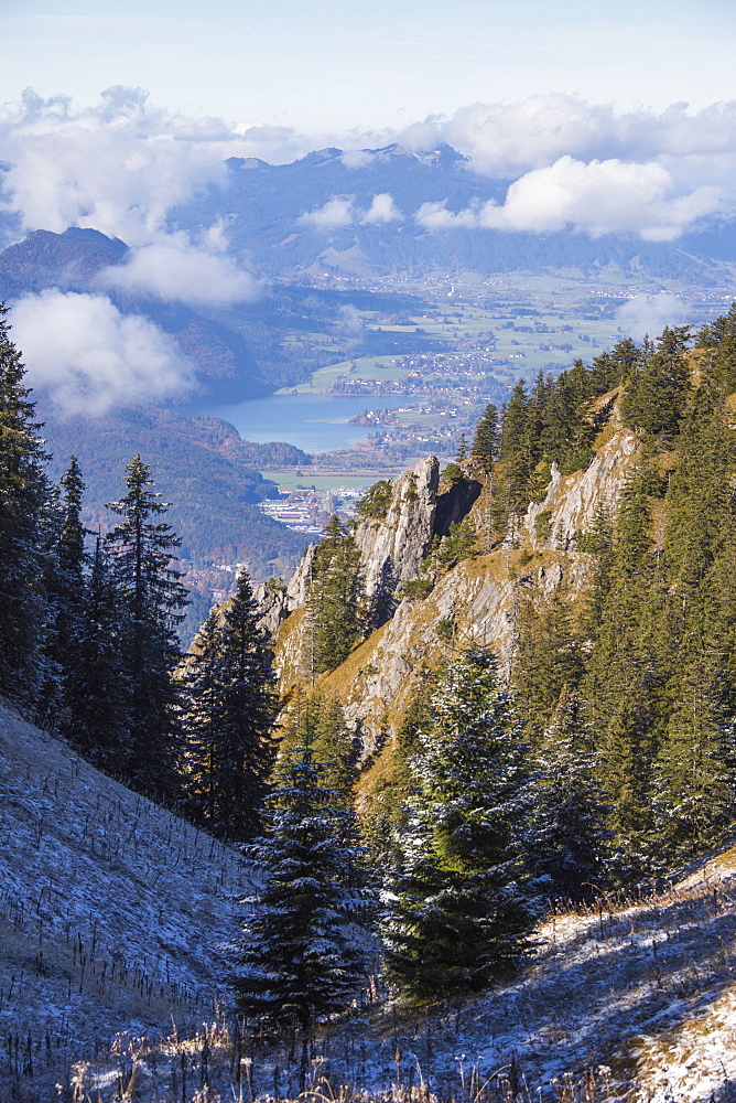 Frost on trees in the woods of the Ammergau Alps, Tegelberg, Fussen, Bavaria, Germany, Europe