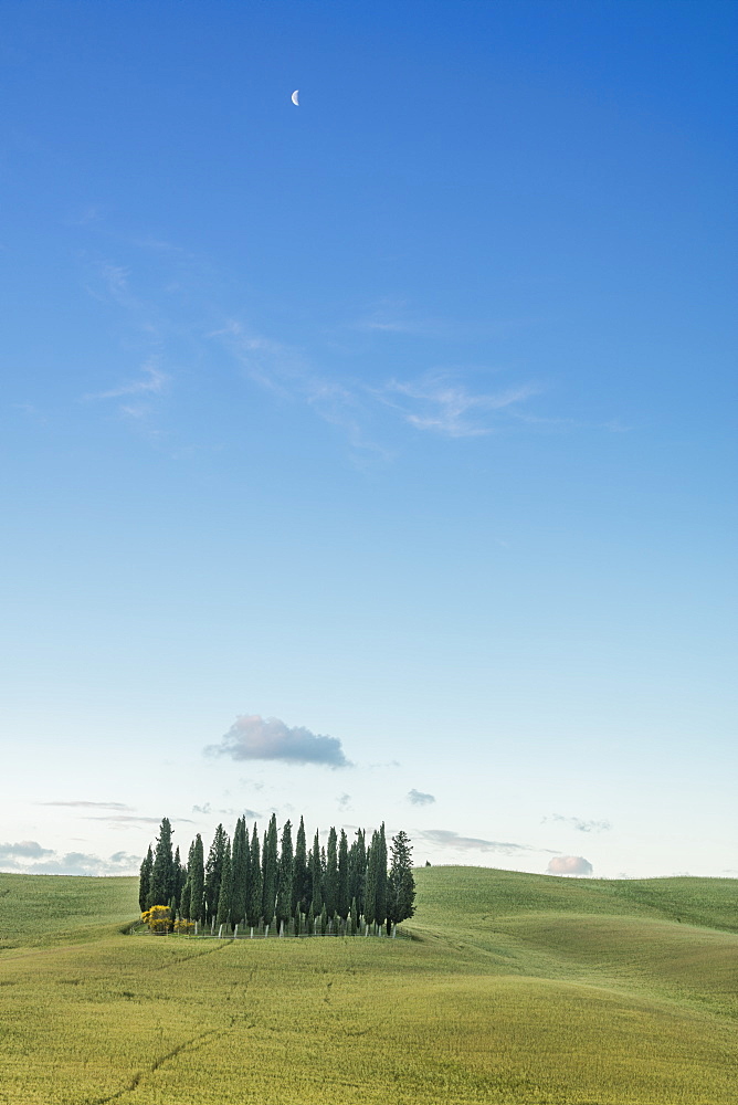 Dusk frames the cypresses on the gentle green hills of Val d'Orcia, UNESCO World Heritage Site, Province of Siena, Tuscany, Italy, Europe