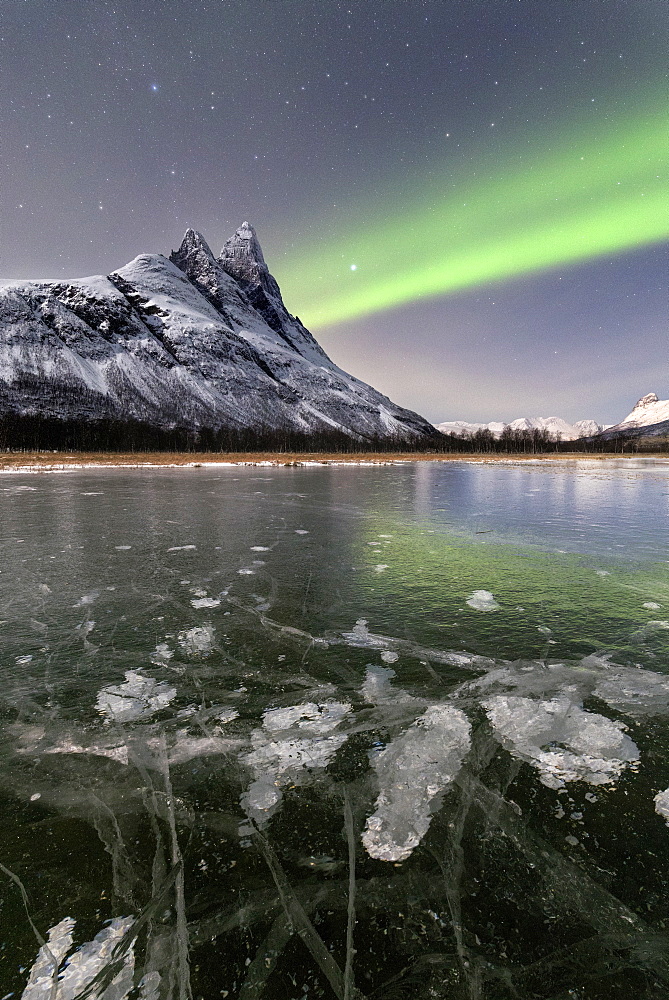 Ice bubbles of frozen sea and the snowy peak of Otertinden under the Northern Lights (aurora borealis), Oteren, Lyngen Alps, Troms, Norway, Scandinavia, Europe