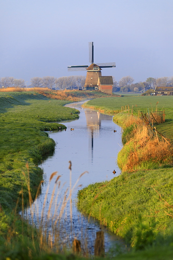 Typical windmill reflected in the canal at dawn, Berkmeer, municipality of Koggenland, North Holland, The Netherlands, Europe