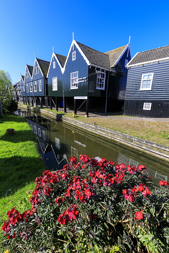 Wooden houses reflected in the canal framed by flowers in the village of Marken, Waterland, North Holland, The Netherlands, Europe