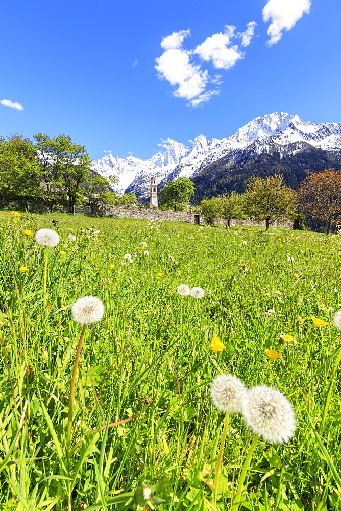 Green meadows frame the church of Soglio in spring, Maloja, Bregaglia Valley, Engadine, canton of Graubunden, Switzerland, Europe