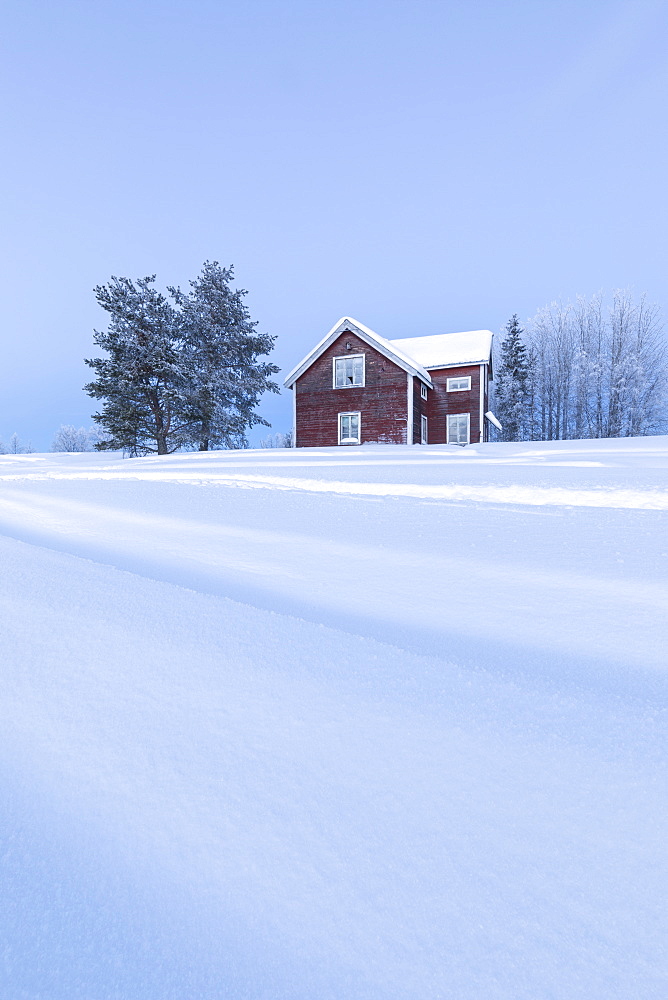 Wood house at dusk in the boreal forest (Taiga) covered with snow, Kiruna, Norrbotten County, Lapland, Sweden, Scandinavia, Europe