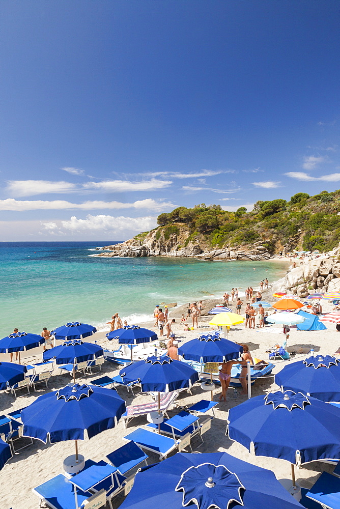 Sunbeds and beach umbrellas, Cavoli Beach, Marciana, Elba Island, Livorno Province, Tuscany, Italy, Europe