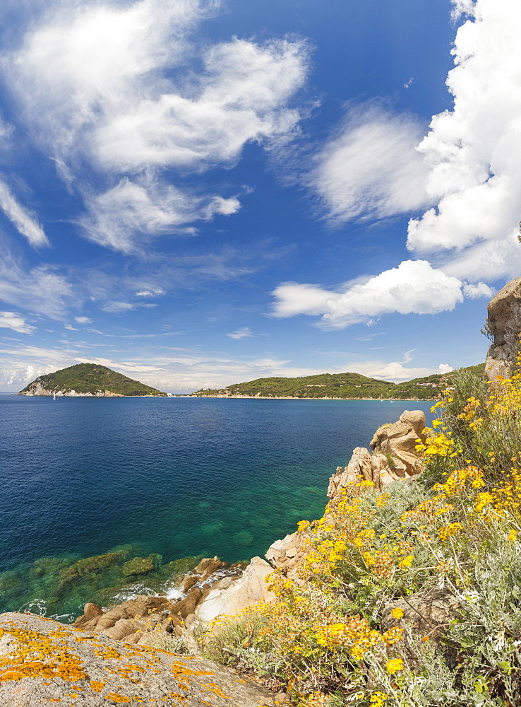 Panoramic of blue sea, Gulf of Procchio, Marciana, Elba Island, Livorno Province, Tuscany, Italy, Europe