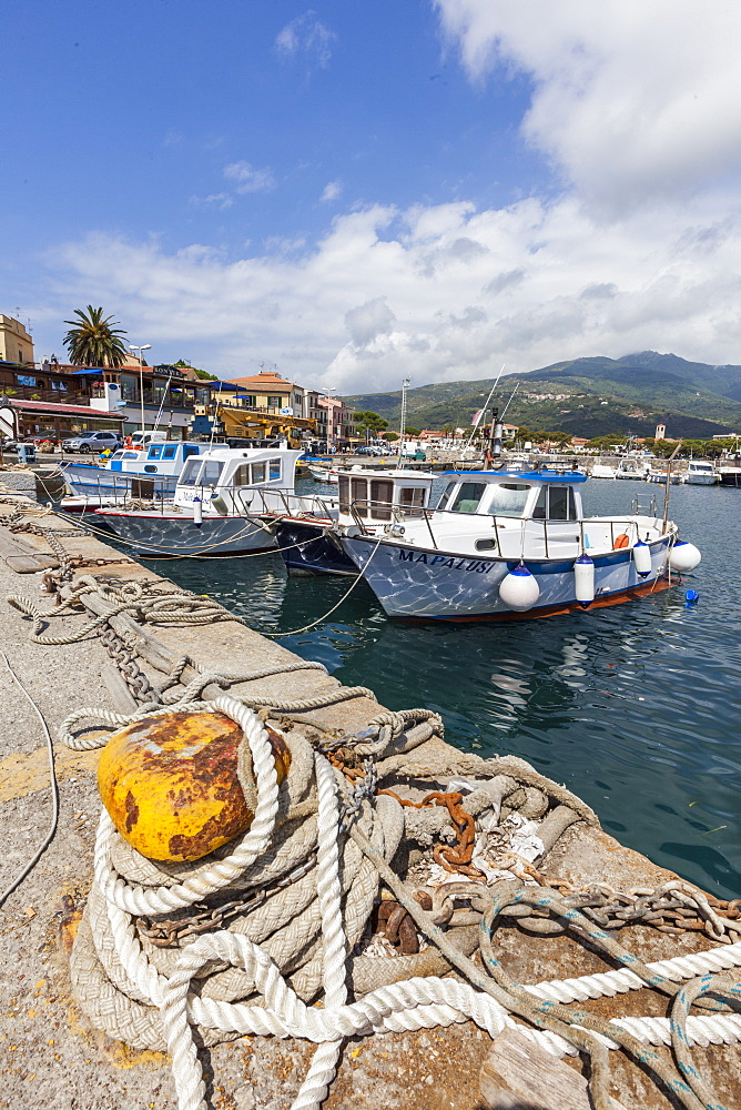 Boats moored in the harbor, Marina Di Campo, Elba Island, Livorno Province, Tuscany, Italy, Europe