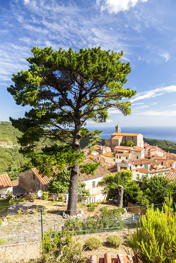 Village of Poggio on the hills of Monte Capanne, Marciana, Elba Island, Livorno Province, Tuscany, Italy, Europe