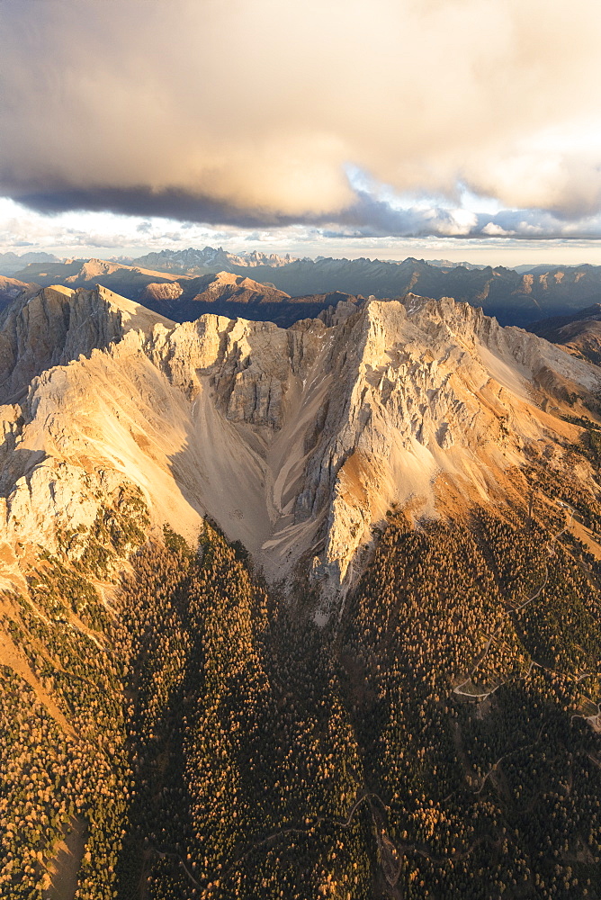 Aerial view of woods on the ridges of Latemar massif, Dolomites, South Tyrol, Italy, Europe