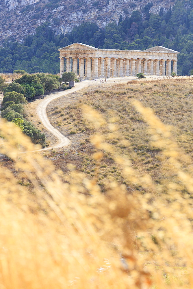 Temple of Segesta, Calatafimi, province of Trapani, Sicily, Italy, Europe