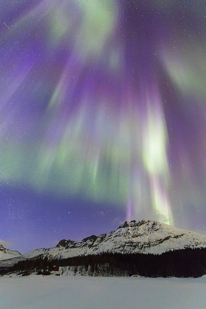 Northern Lights (Aurora borealis), Skoddebergvatnet, Grovfjord, Troms county, Lofoten Islands, Nordland, Norway, Europe