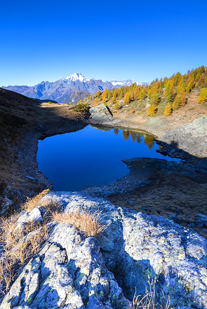 Lakes of Campagneda surrounded by colorful woods during autumn, Valmalenco, Valtellina, Sondrio province, Lombardy, Italy, Europe