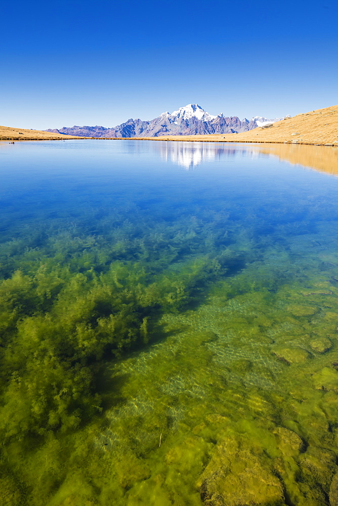 Clear water of lakes of Campagneda with Monte Disgrazia in background, Valmalenco, Valtellina, Sondrio province, Lombardy, Italy, Europe