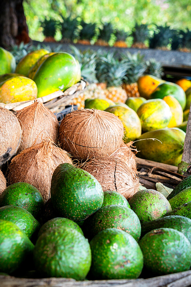 Fresh coconut and tropical fruit in straw baskets, La Gaulette, Black River district, Mauritius, Indian Ocean, Africa