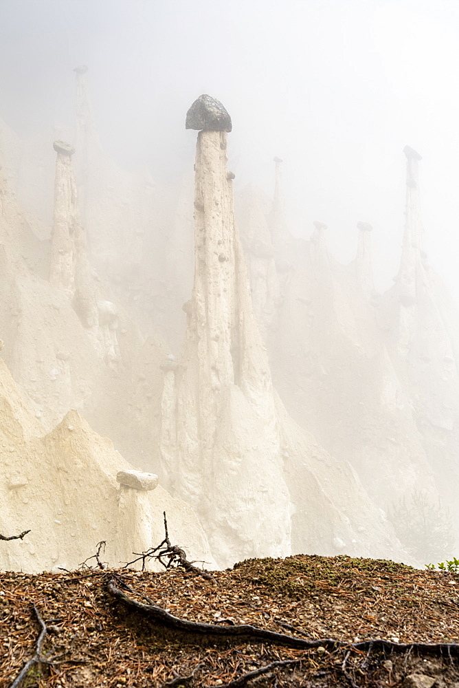 Rock pinnacles of the Earth Pyramids emerging from fog, Perca (Percha), province of Bolzano, South Tyrol, Italy, Europe