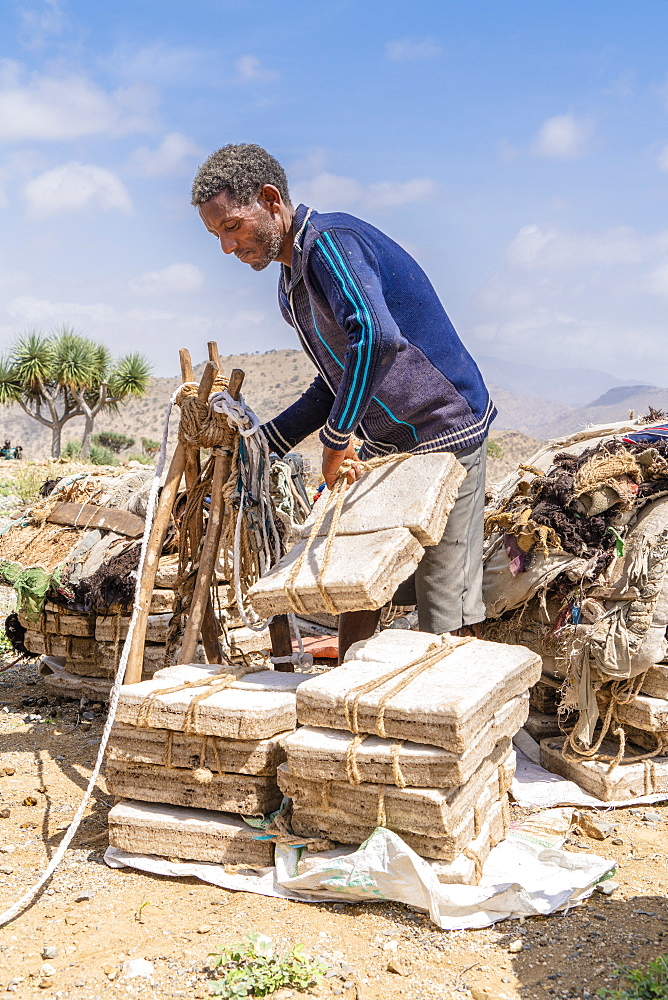 Miner picking up salt blocks extracted from salt flats, Dallol, Danakil Depression, Afar Region, Ethiopia, Africa