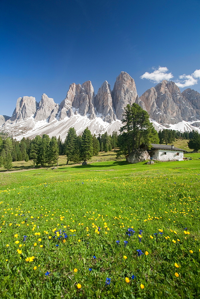 A postcard from the Dolomites, Puez-Odle National Park, South Tyrol, Italy, Europe