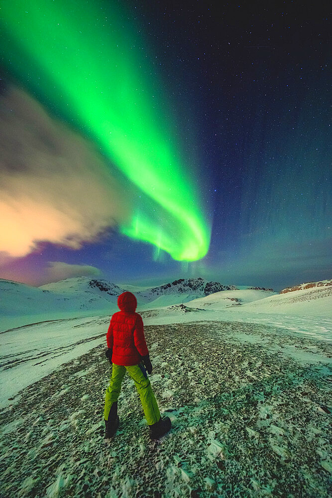 Man standing in the icy landscape admiring the Northern Lights (Aurora Borealis), Mageroya island, Nordkapp, Troms og Finnmark, Norway, Scandinavia, Europe