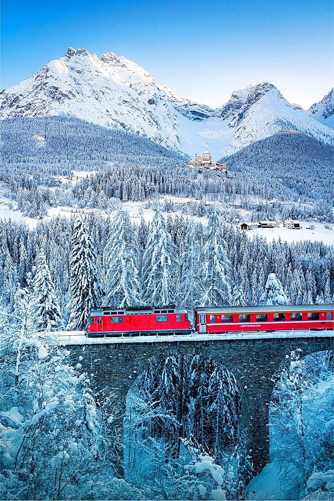 Bernina Express train in the winter forest covered with snow surrounding Tarasp Castle, Engadine, Graubunden Canton, Switzerland,  Europe