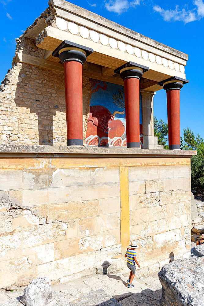 Little boy exploring the Knossos archaeological site and ruins of Minoan Palace, Knossos, Heraklion, Crete, Greek Islands, Greece, Europe