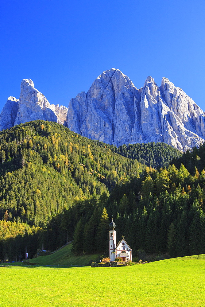 Church of Ranui surrounded by green meadows in autumn, St. Magdalena, Funes Valley, South Tyrol, Dolomites, Italy, Europe