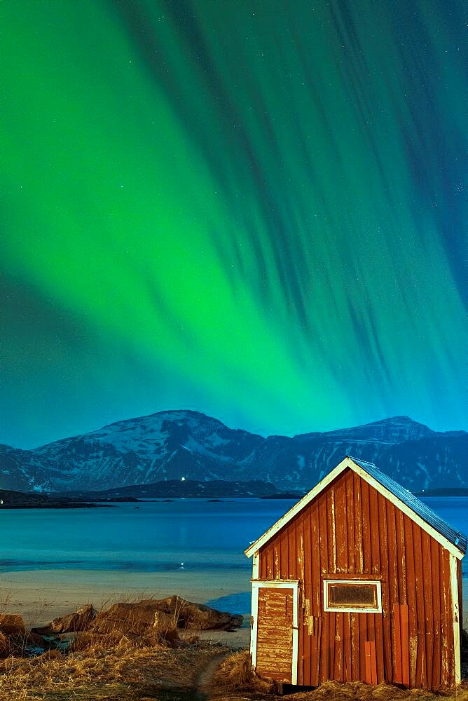 Aurora Borealis over the red cabin on Ramberg beach, Nordland county, Lofoten Islands, Norway