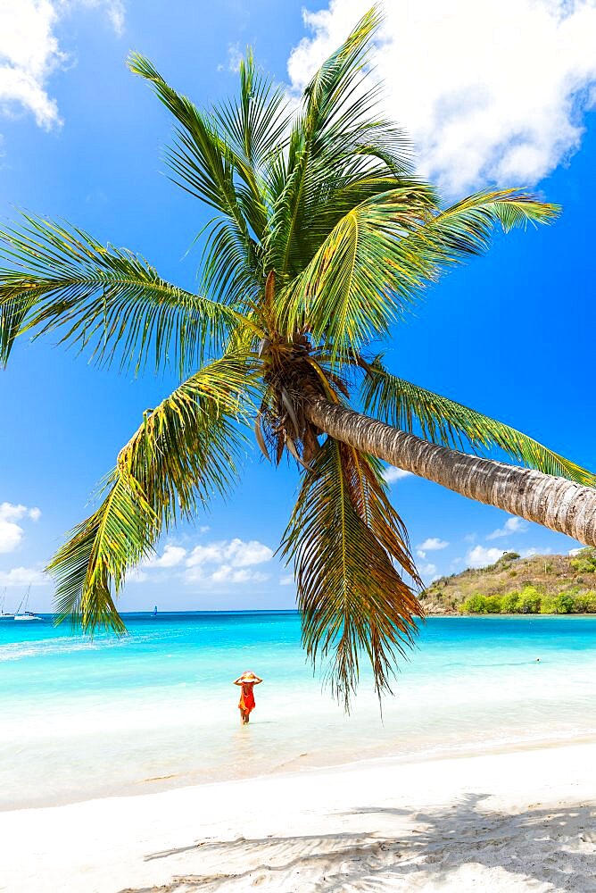 Woman with straw hat looking at the palm trees beach standing in the turquoise water of Caribbean Sea, Antigua, West Indies