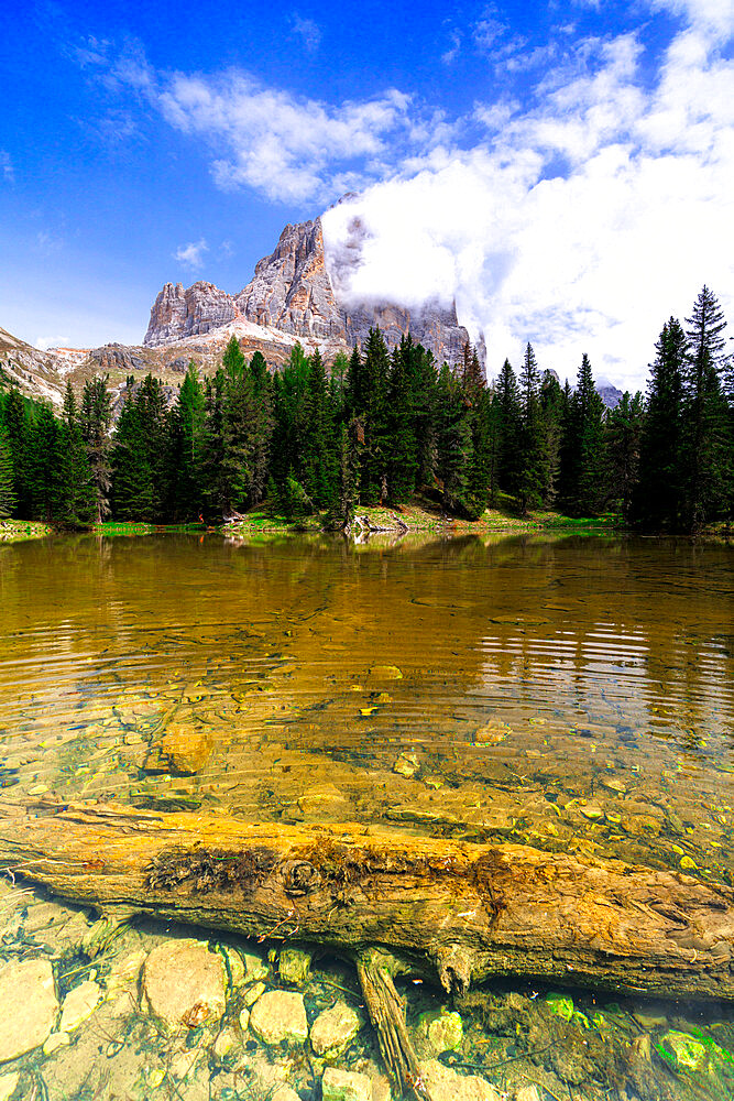 Alpine lake Bai De Dones and woods in spring with Tofana di Rozes in the backdrop, Dolomites, Lagazuoi Pass, Veneto, Italy, Europe