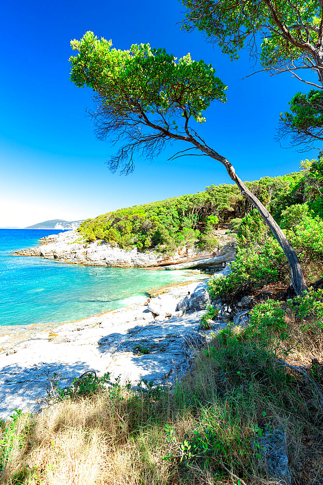 Clear sky over the pristine water of Ionian Sea washing the idyllic Kimilia beach, Fiskardo, Kefalonia, Ionian Islands, Greek Islands, Greece, Europe