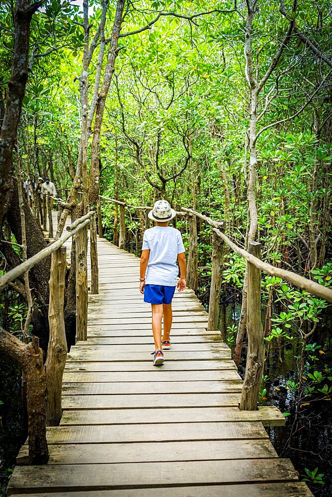 Rear view of young boy with hat walking on wooden path inside Jozani Forest National Park, Zanzibar, Tanzania