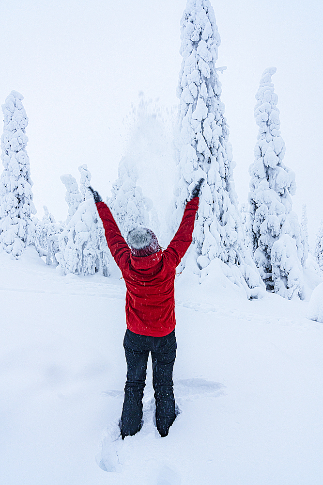 Cheerful woman with arms outstretched playing with snow, Lapland, Finland, Europe