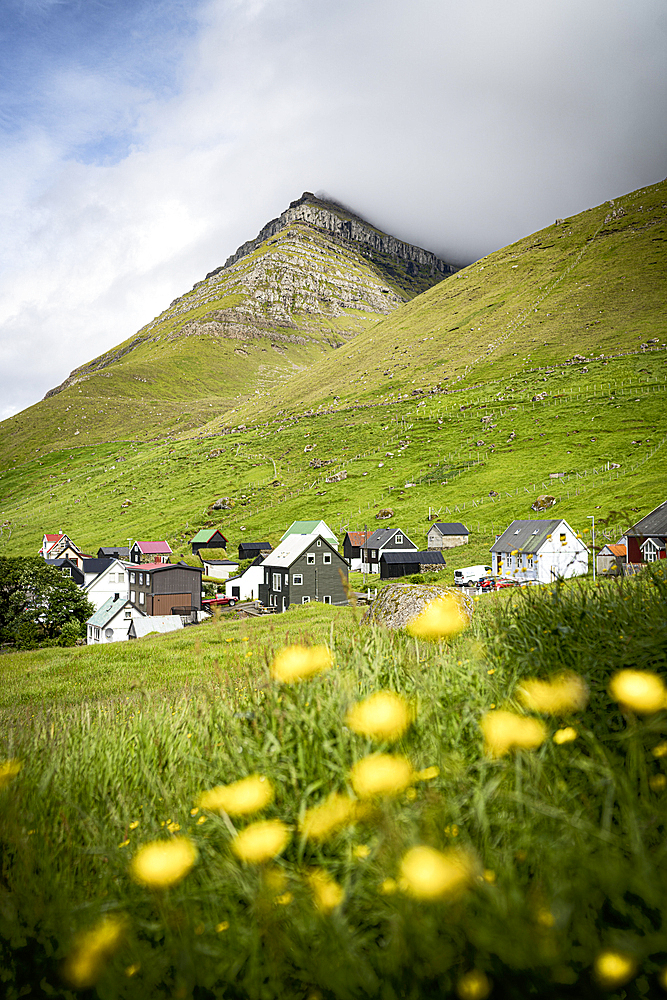 Traditional houses in the small village of Kunoy in the flowering meadows, Kunoy Island, Faroe Islands, Denmark, Europe