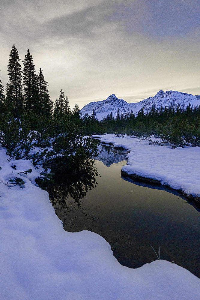 Snowy forest on the shore of frozen lake Entova during a cold night, Valmalenco, Valtellina, Sondrio province, Lombardy, Italy, Europe