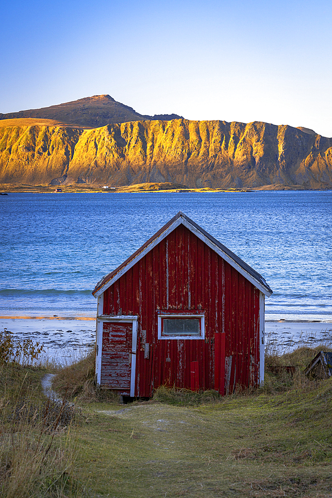 Red fisherman cabin on Ramberg beach with mountains in background at dawn, Flakstad, Lofoten Islands, Nordland, Norway, Scandinavia, Europe