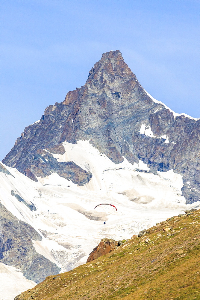 A paraglider flies in front of the majestic Obergabelhorn, Canton of Valais, Pennine Alps, Swiss Alps,  Switzerland, Europe