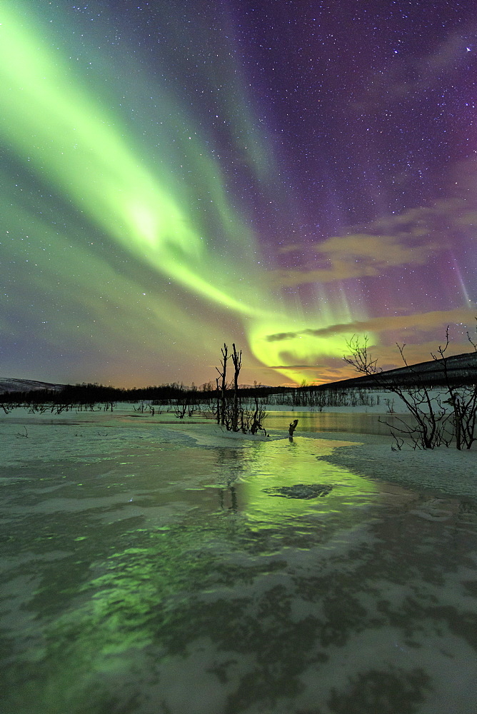 Aurora Borealis on the frozen lagoon of Jaegervatnet, Stortind, Lyngen Alps, Troms, Lapland, Norway, Scandinavia, Europe