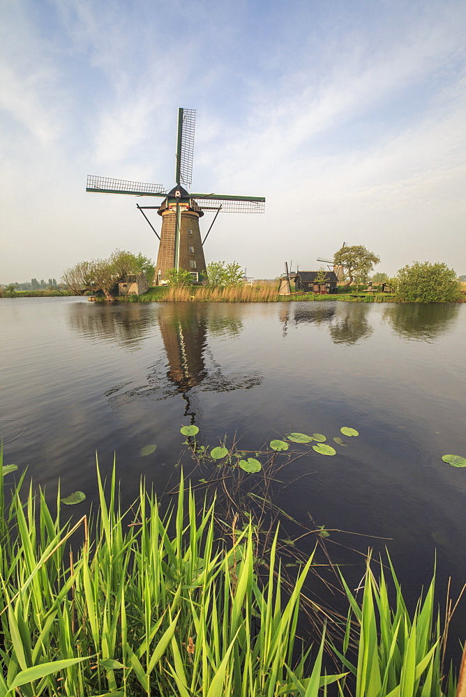 Green grass frames the windmills reflected in the canal, Kinderdijk, Rotterdam, South Holland, Netherlands, Europe