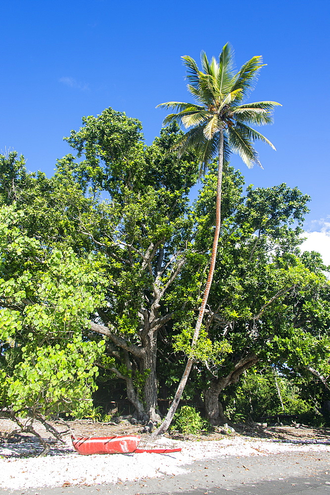 Epi Island, Shepherd Islands, Vanuatu, Pacific