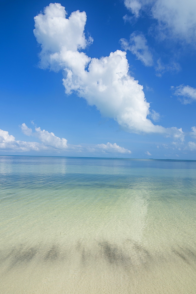 Turquoise waters and white sand beach, Ouvea, Loyalty Islands, New Caledonia, Pacific