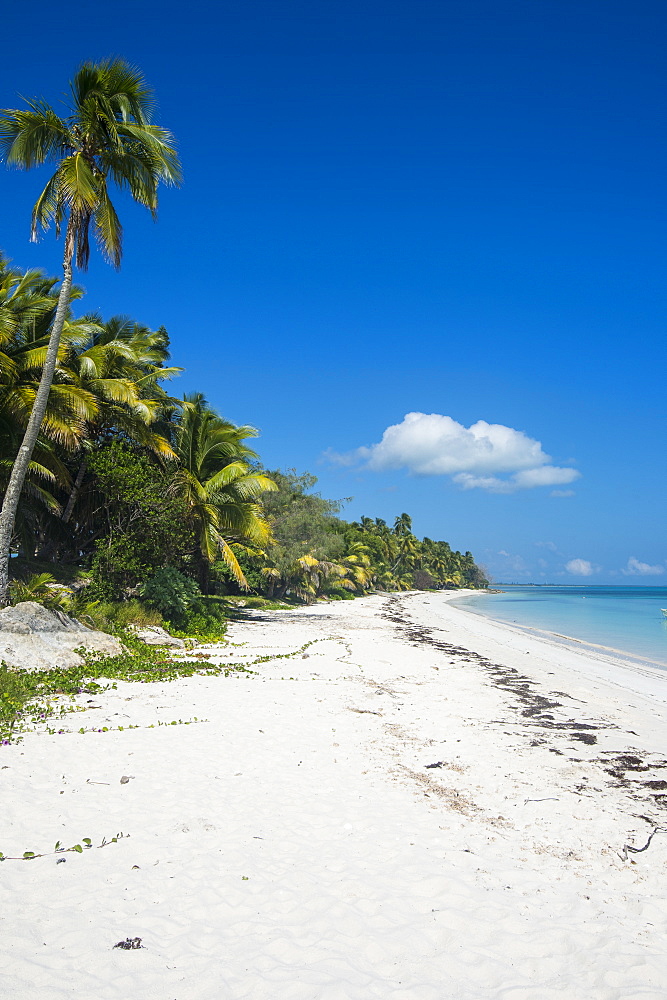 Turquoise waters and white sand beach, Ouvea, Loyalty Islands, New Caledonia, Pacific