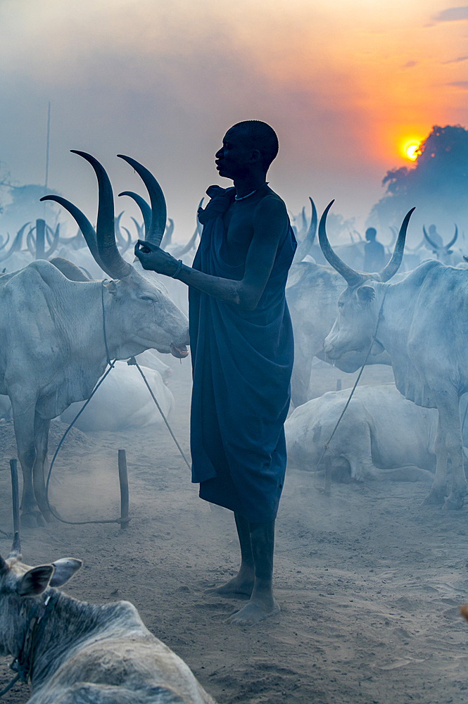 Backlight photo of a woman in a Mundari cattle camp, Mundari tribe, South Sudan, Africa