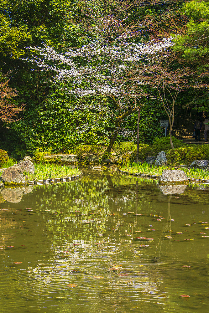 Okazaki Park in the Heian Jingu Shrine, Kyoto, Honshu, Japan, Asia