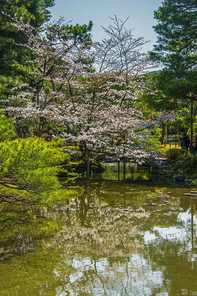 Okazaki Park in the Heian Jingu Shrine, Kyoto, Honshu, Japan, Asia