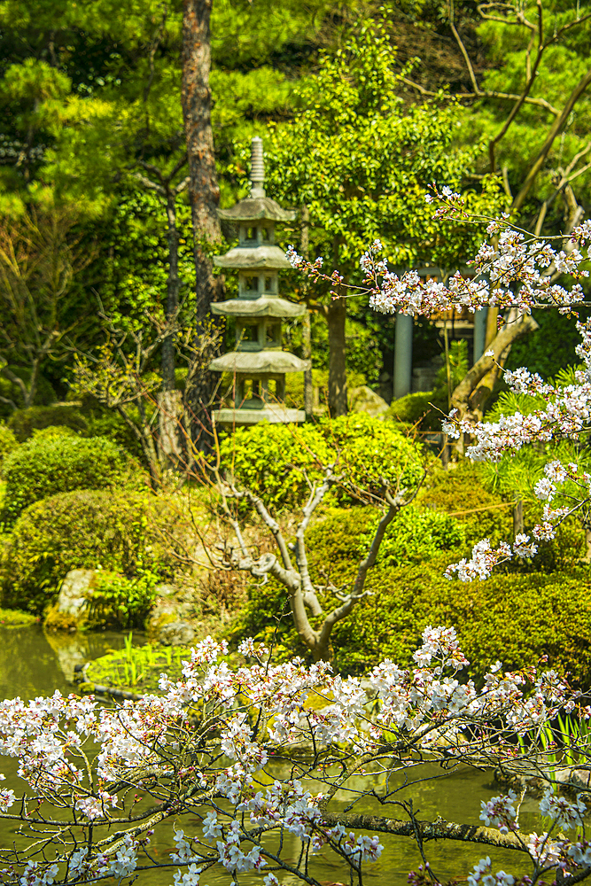 Okazaki Park in the Heian Jingu Shrine, Kyoto, Honshu, Japan, Asia