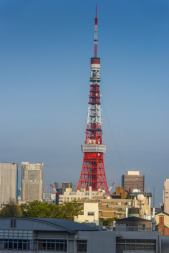 View over Tokyo with the Tokyo Tower, from the Mori Tower, Roppongi Hills, Tokyo, Honshu, Japan, Asia