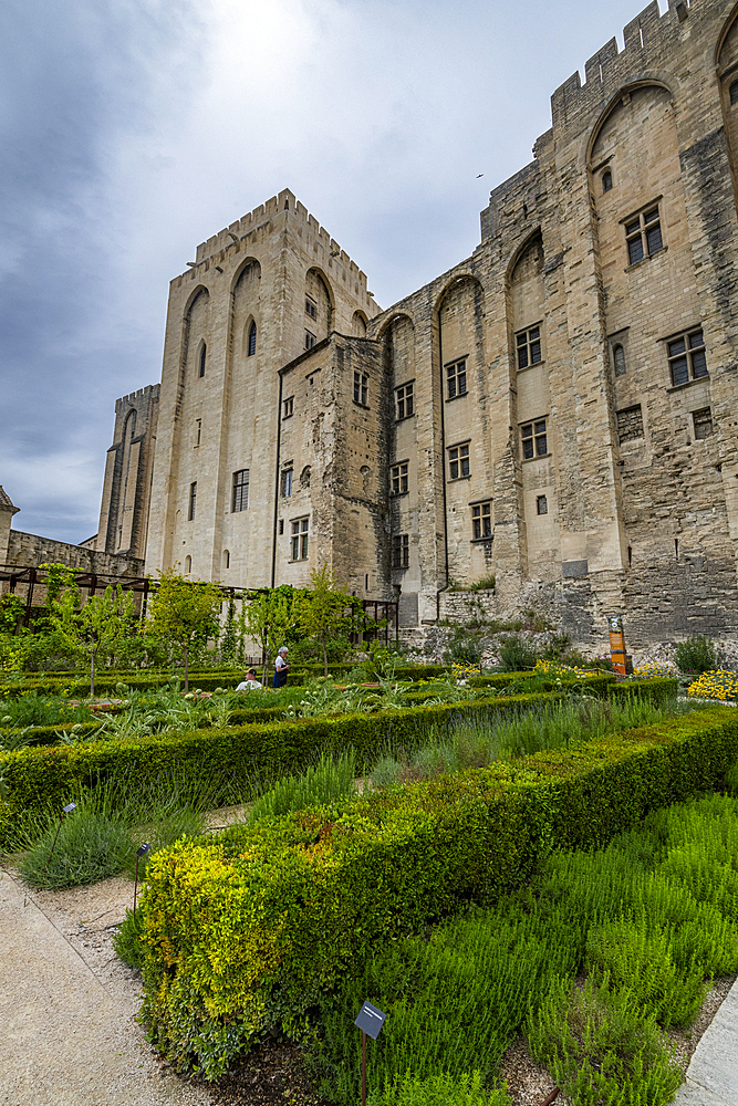 Palace of the Popes, Avignon, UNESCO World Heritage Site, Vaucluse, Provence-Alpes-Cote d'Azur, France, Europe