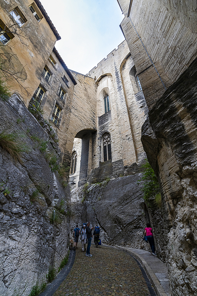 Palace of the Popes, Avignon, UNESCO World Heritage Site, Vaucluse, Provence-Alpes-Cote d'Azur, France, Europe