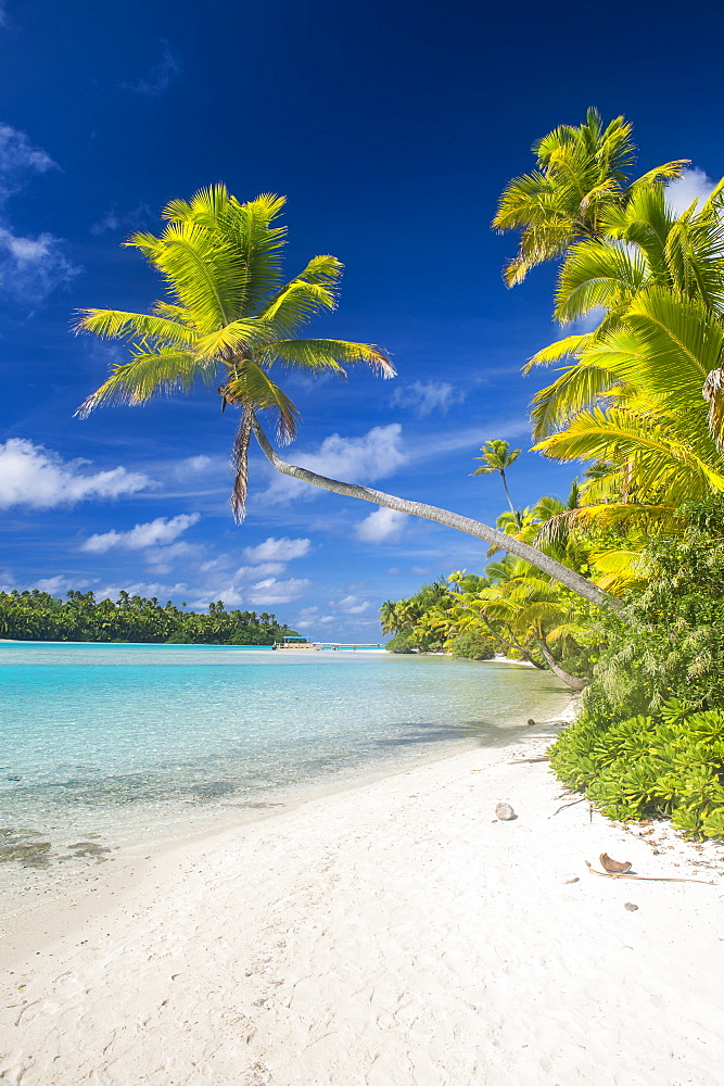 White sand bank in the turquoise waters of the Aitutaki lagoon, Rarotonga and the Cook Islands, South Pacific, Pacific