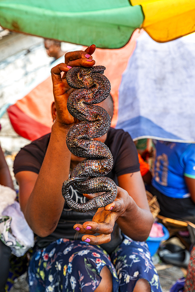 Smoked Snakes for sales on a Market, Mbandaka, Equateur province, Democratic Republic of Congo, Africa