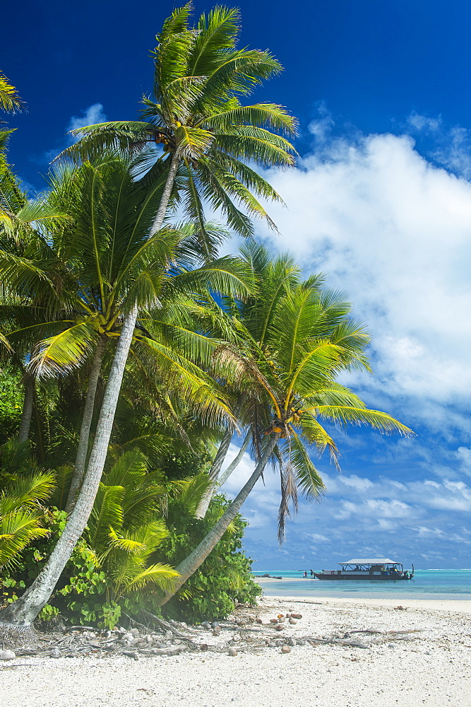 Traditional wood carved boat in the Aitutaki lagoon, Rarotonga and the Cook Islands, South Pacific, Pacific