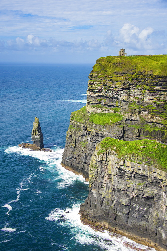 Cliffs of Moher, The Burren, County Clare, Munster, Republic of Ireland, Europe